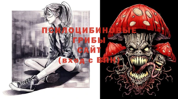 спиды Лагань